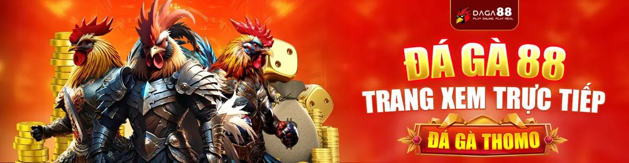 Trận đấu đá gà kịch tính tại hello88vina win